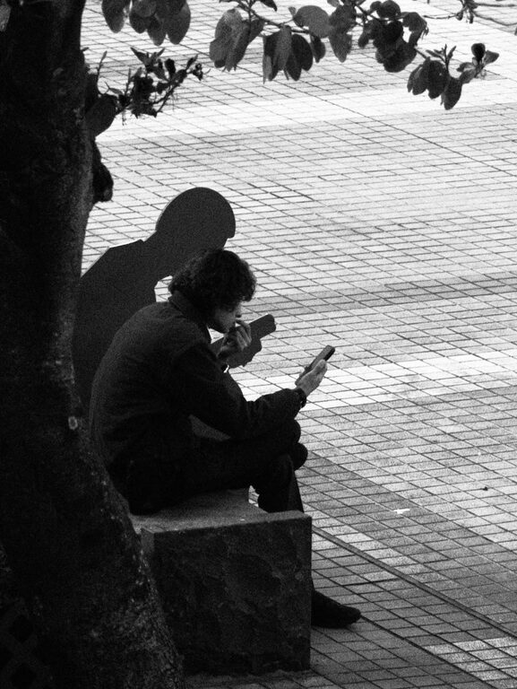 Beginner Tips for Taking Better Phone Photos