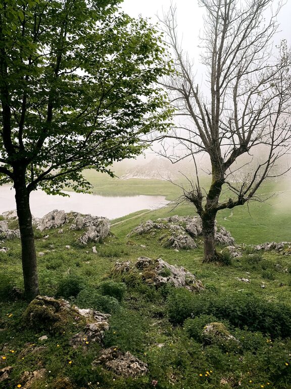Najlepsze porady dla początkujących, jak robić lepsze zdjęcia telefonem